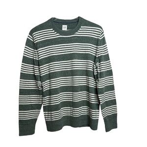GAP Men’s Striped Green and Cream  Long Sleeve Crewneck Sweater
